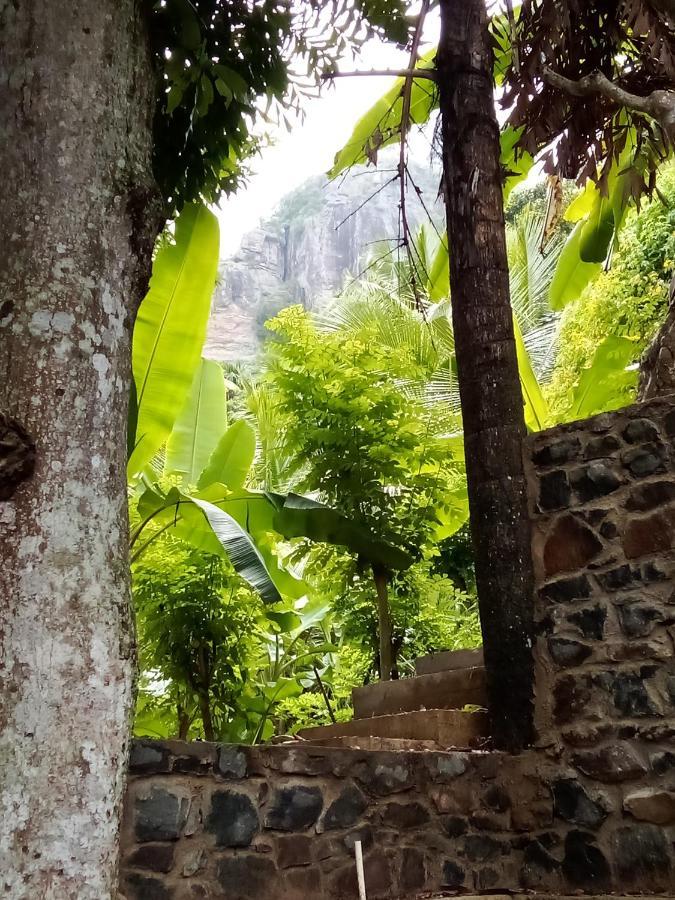 Forest Rawana Homestay Ella Exterior photo