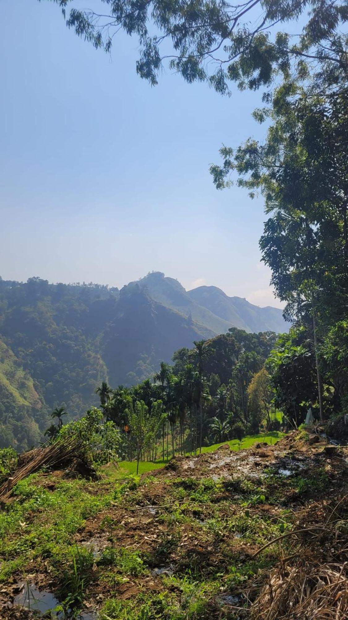 Forest Rawana Homestay Ella Exterior photo
