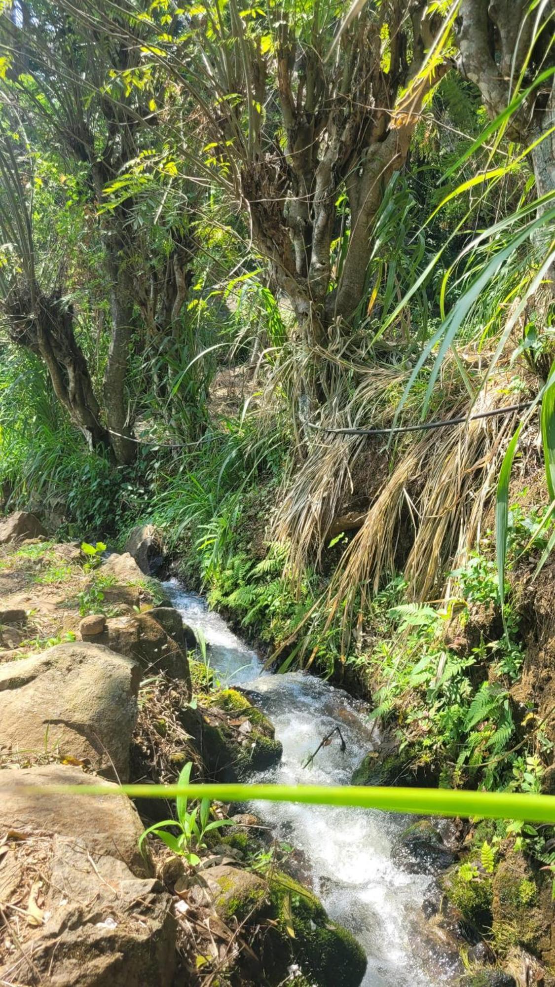 Forest Rawana Homestay Ella Exterior photo