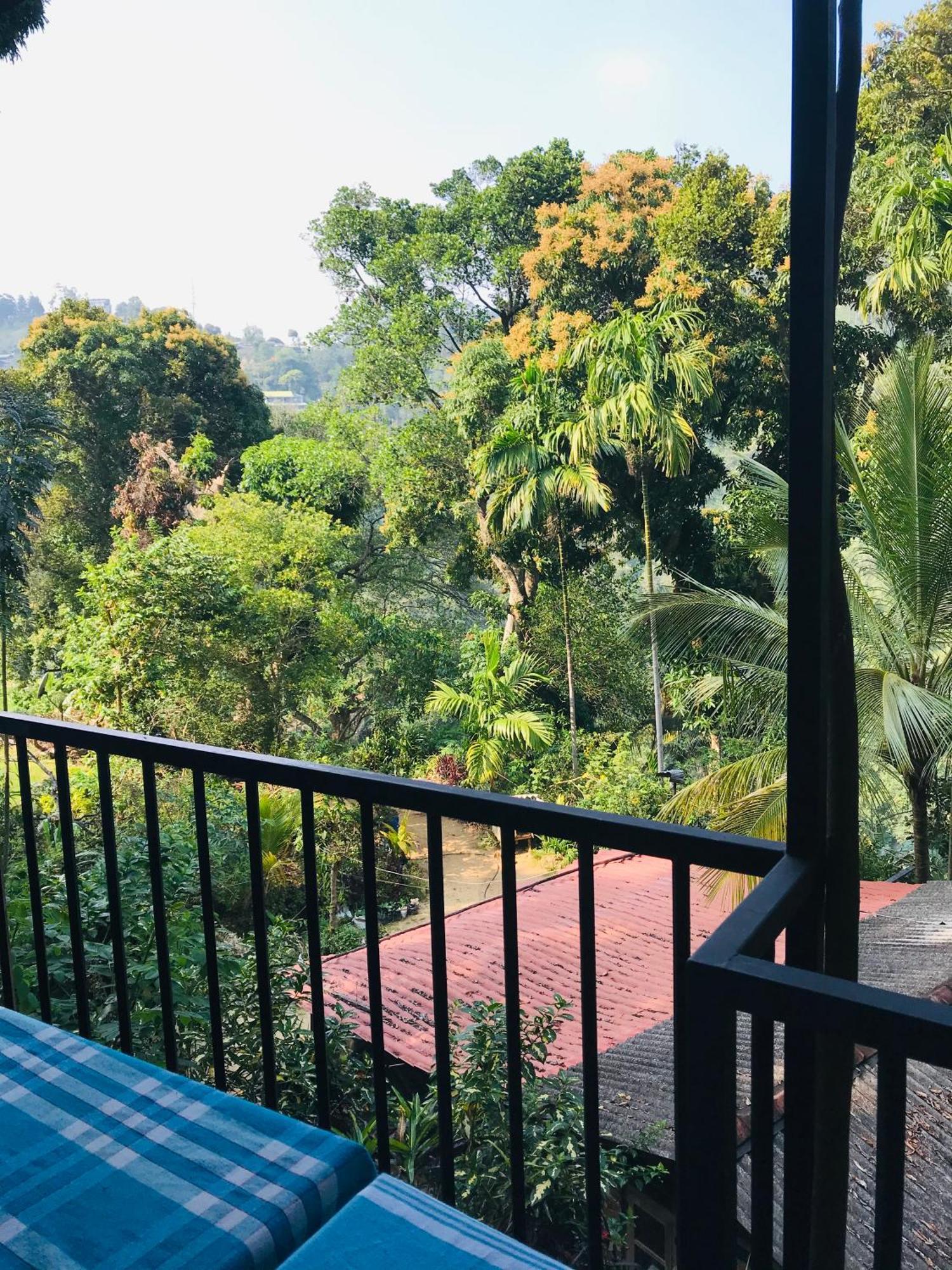 Forest Rawana Homestay Ella Exterior photo