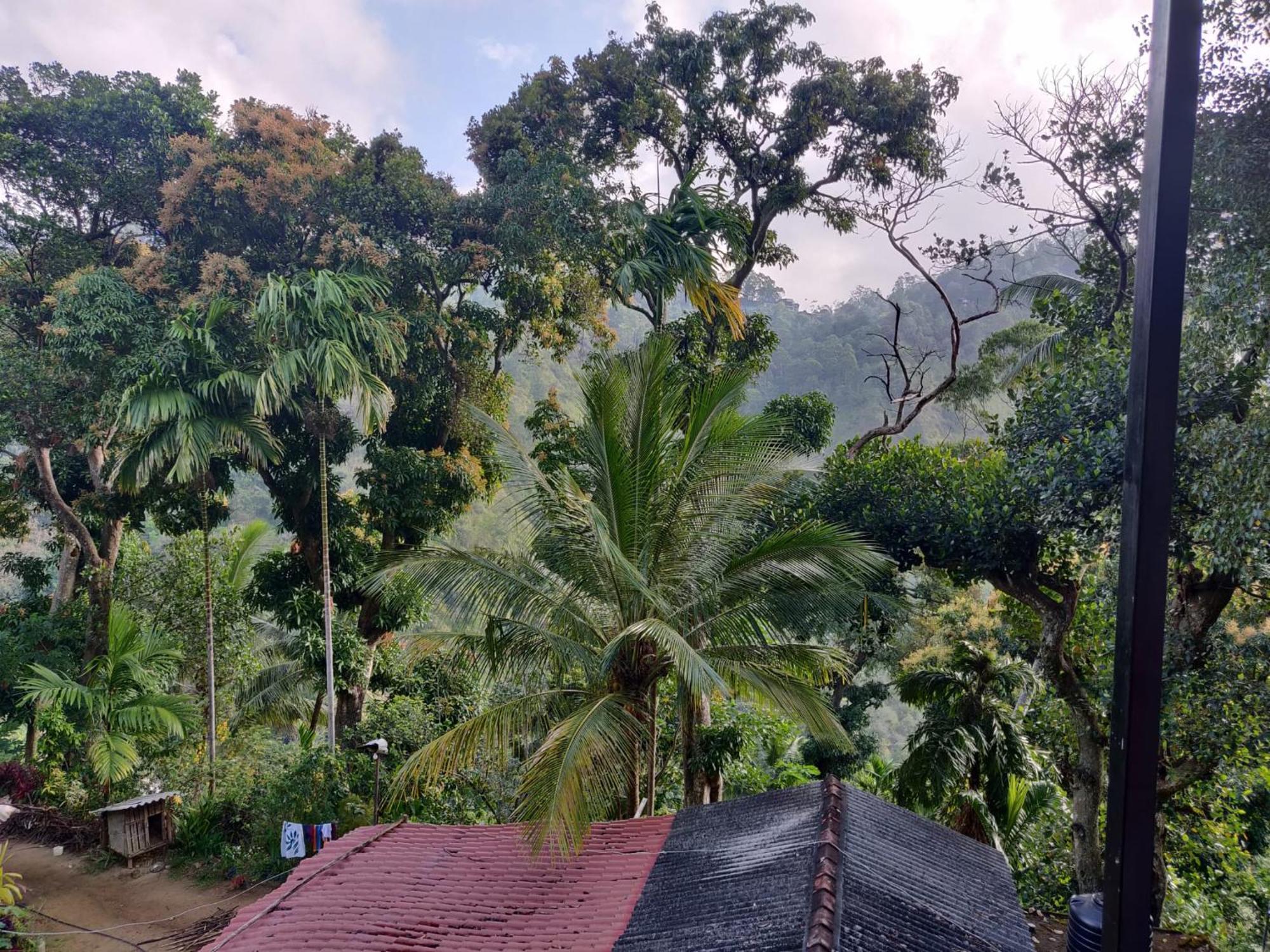 Forest Rawana Homestay Ella Exterior photo