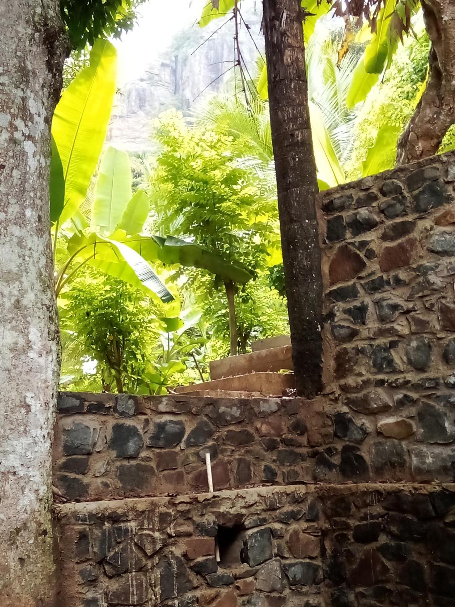 Forest Rawana Homestay Ella Exterior photo