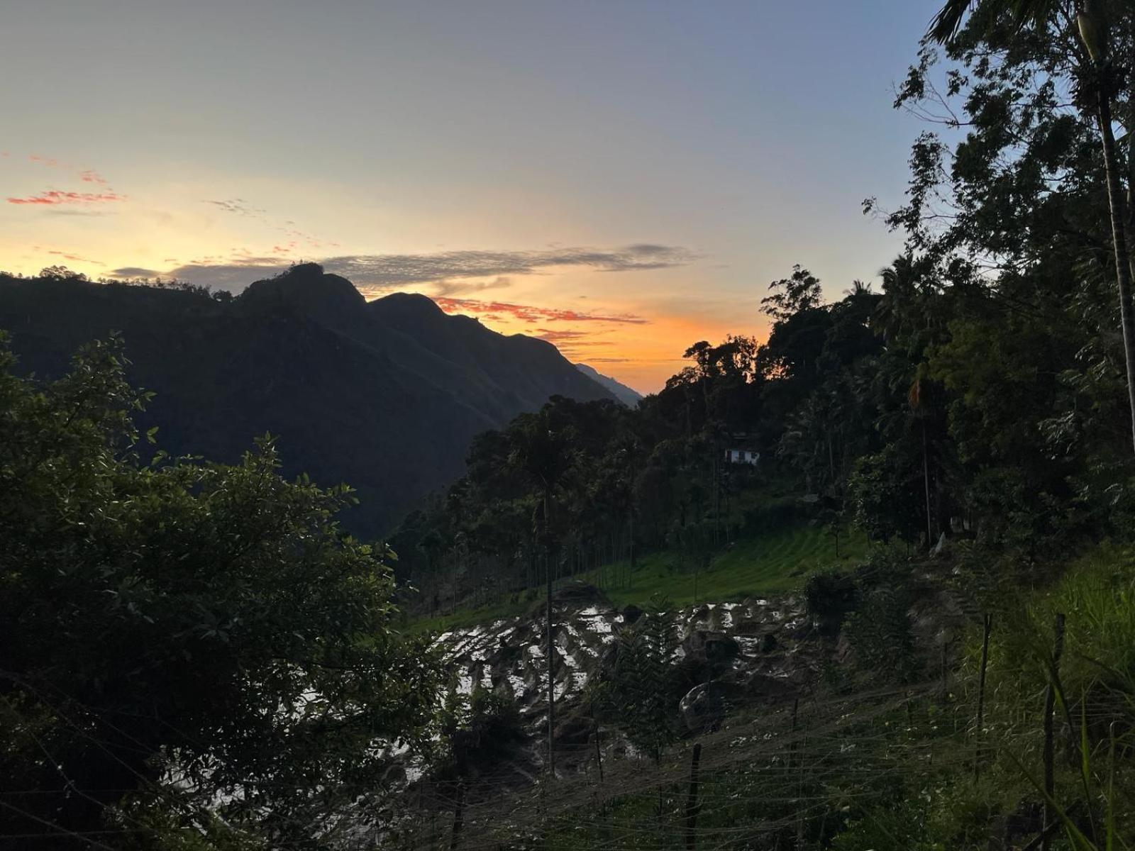 Forest Rawana Homestay Ella Exterior photo