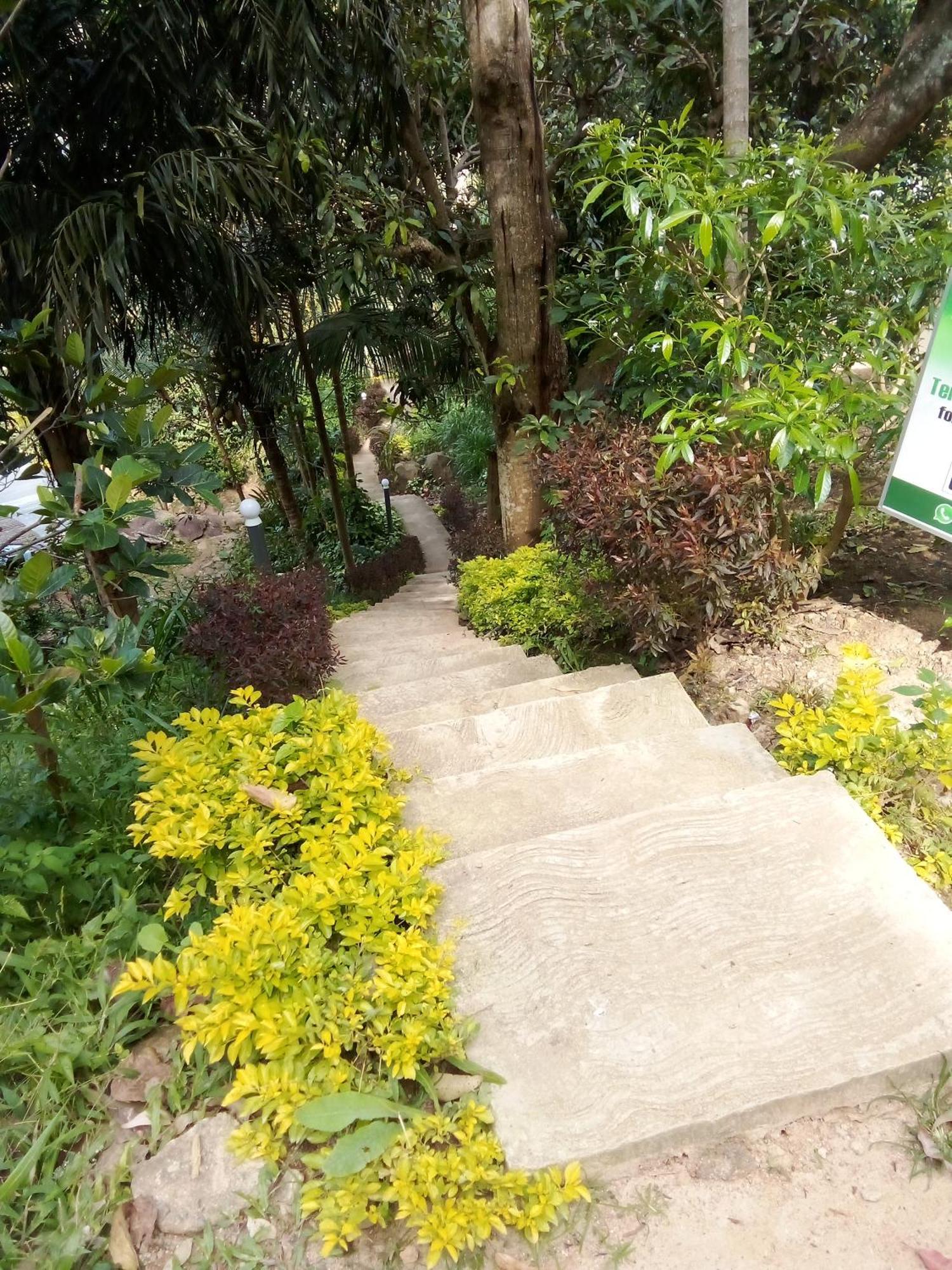 Forest Rawana Homestay Ella Exterior photo