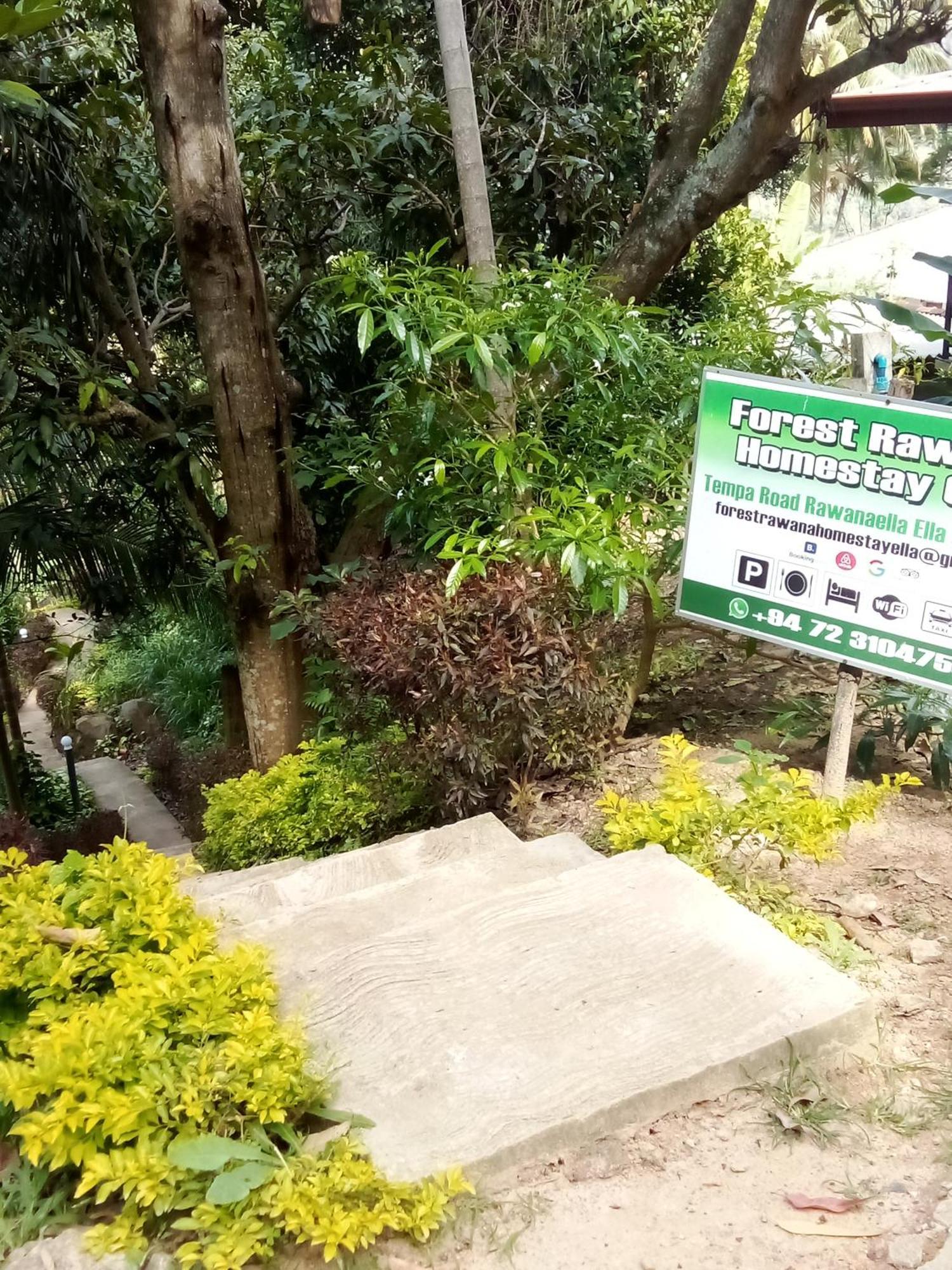 Forest Rawana Homestay Ella Exterior photo